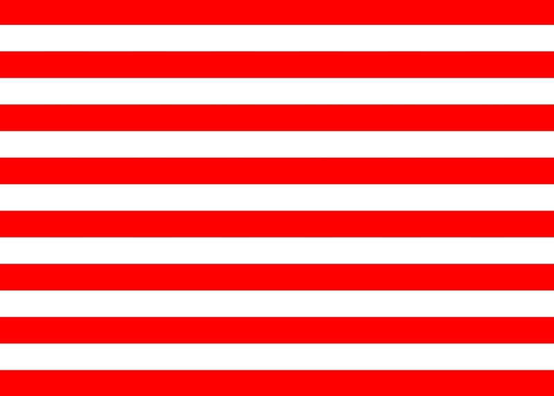 INRUI RUINI Polyester Red and White Stripe Photography Backdrop Big Top Circus Theme Party Decorations Banner 7x5FT - Image 4